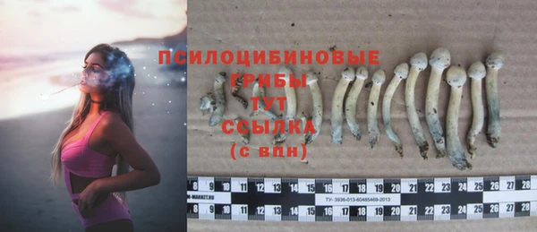 гашик Осинники