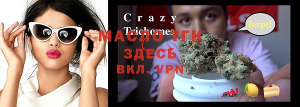 гашик Осинники